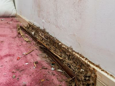 About water damage restoration service - burst pipe water damage experts in New York